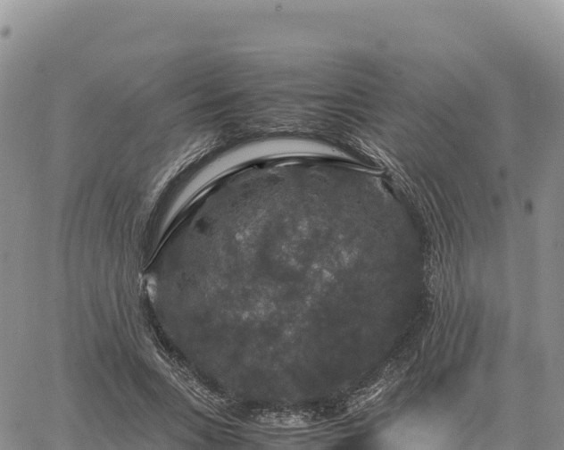 X0000064770735200602171824