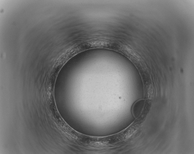 X0000064770737200602171824