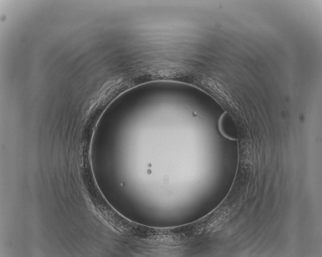 X0000064770738200602171824