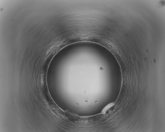 X0000064770740200602171824