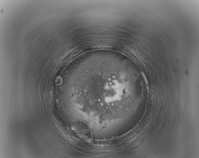 X0000064770741200602171824