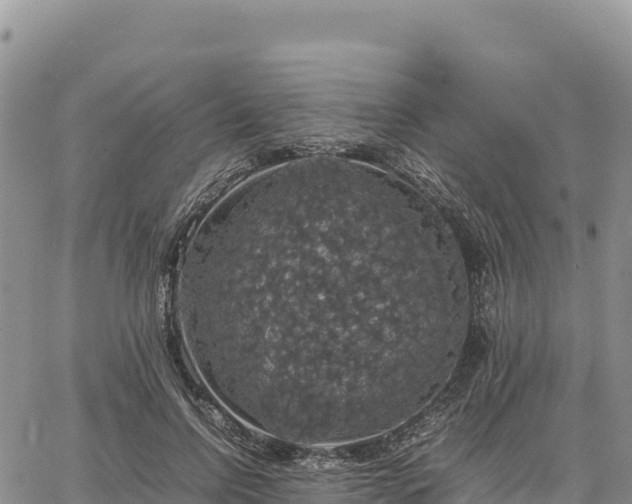 X0000064770742200602171824