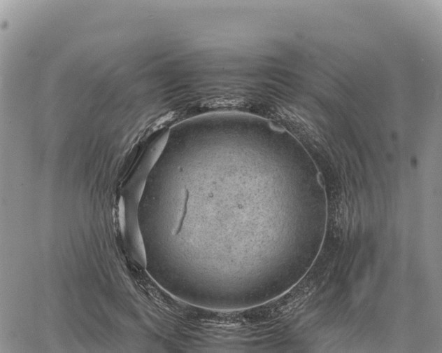 X0000064770743200602171824