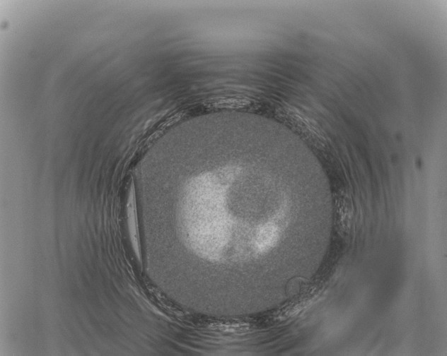 X0000064770745200602171824