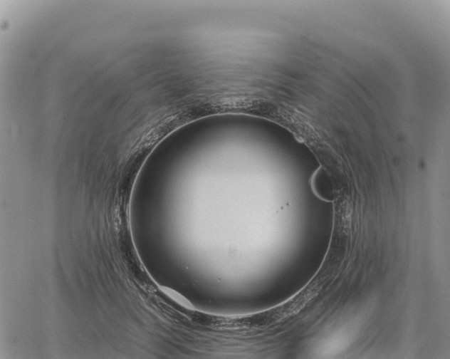 X0000064770746200602171824