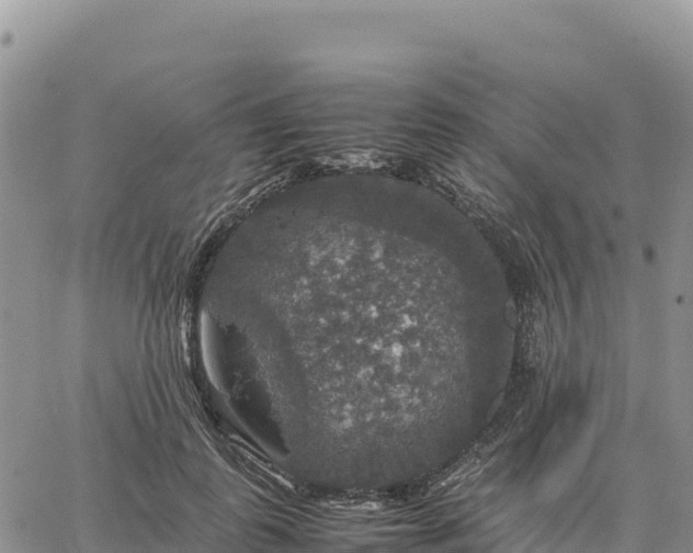 X0000064770747200602171824