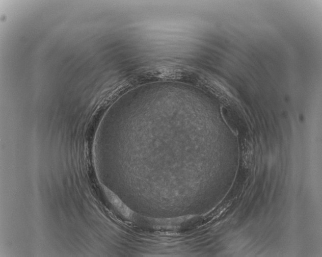 X0000064770748200602171824