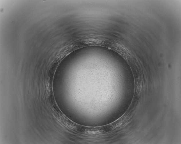 X0000064770749200602171824