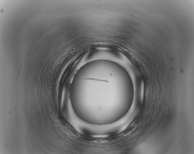 X0000064770750200602171824