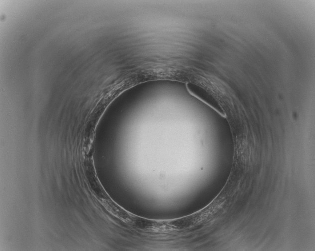 X0000064770752200602171824