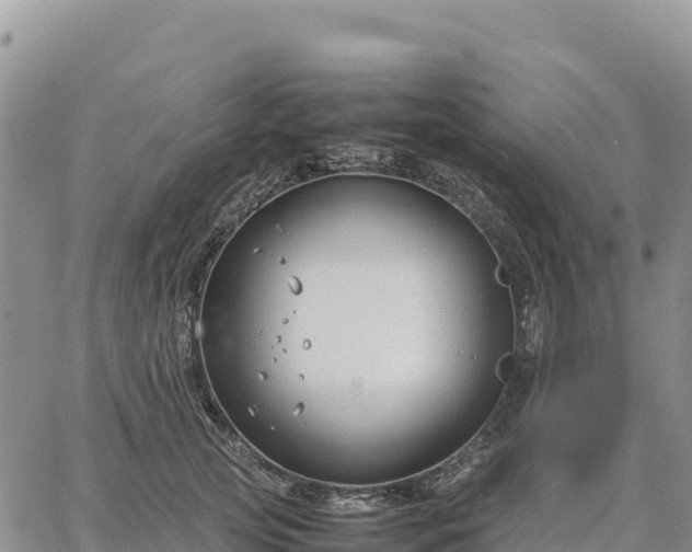 X0000064770753200602171824