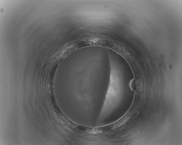 X0000064770754200602171824