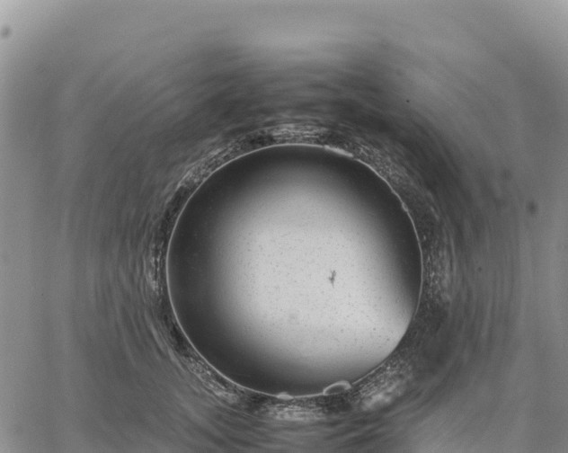 X0000064770755200602171824