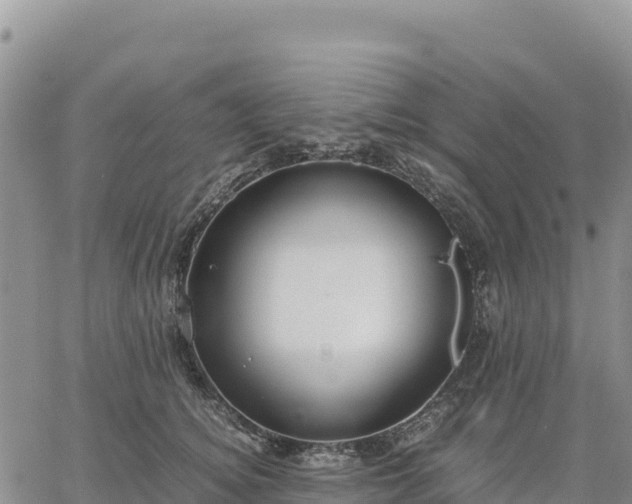 X0000064770756200602171824