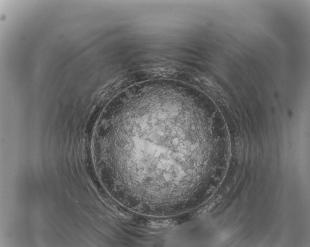 X0000064770757200602171824