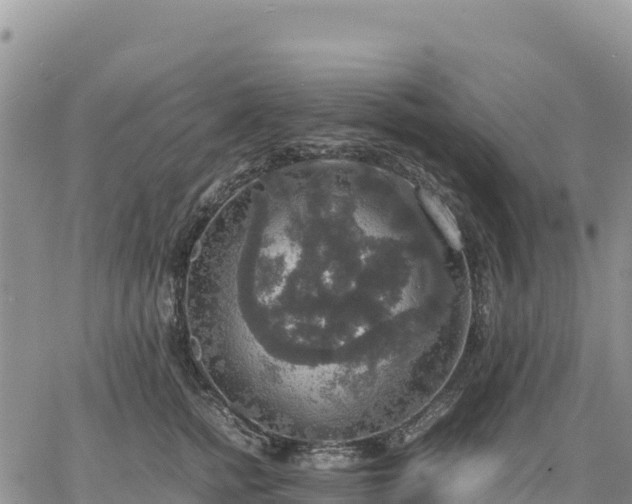 X0000064770758200602171824