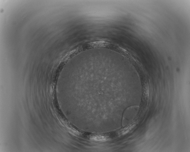 X0000064770759200602171824