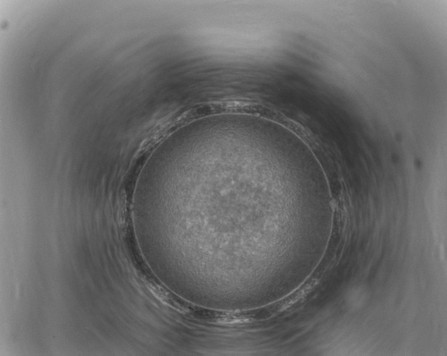 X0000064770760200602171824