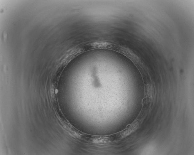 X0000064770761200602171824