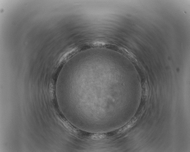 X0000064770762200602171824