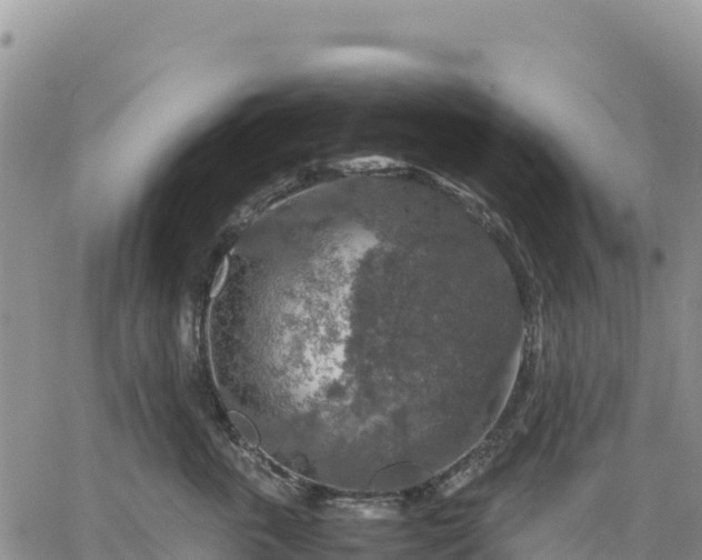 X0000064770763200602171824