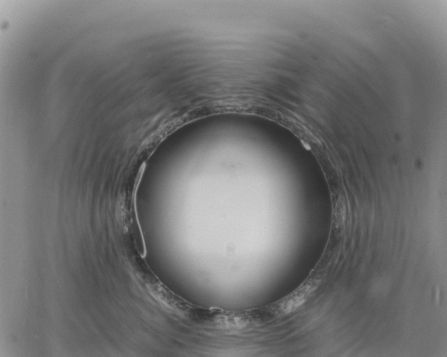 X0000064770764200602171824