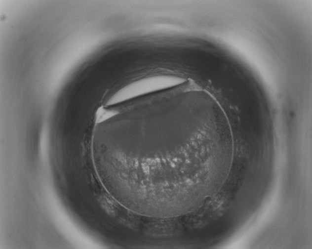 X0000064770765200602171824