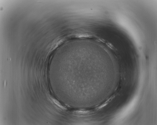 X0000064770766200602171824