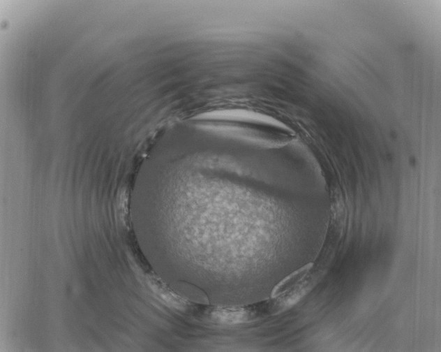 X0000064770767200602171824