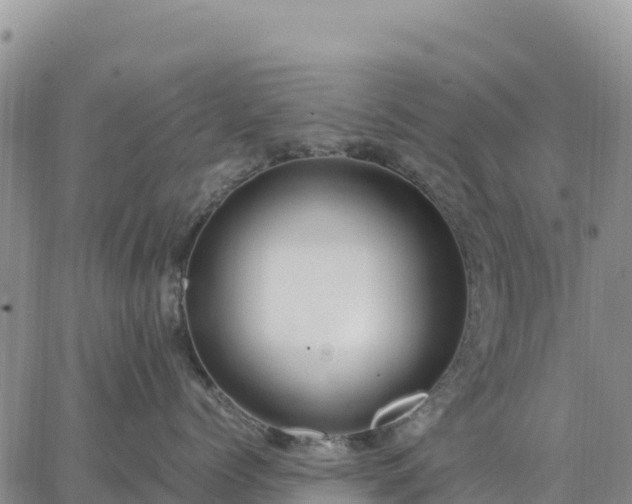 X0000064770768200602171824