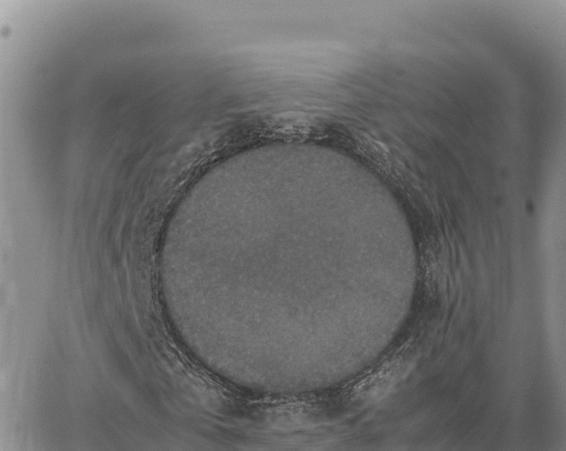 X0000064770769200602171824