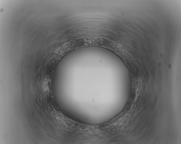 X0000064770770200602171823