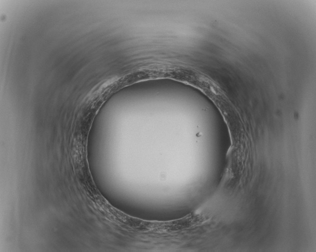 X0000064770773200602171823