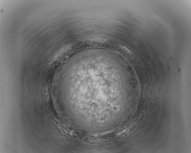 X0000064770774200602171823