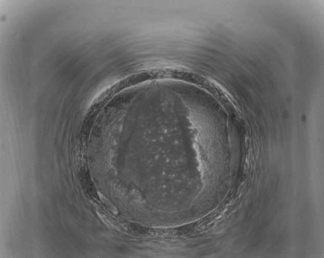 X0000064770775200602171823