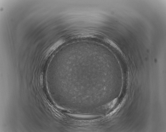 X0000064770777200602171823