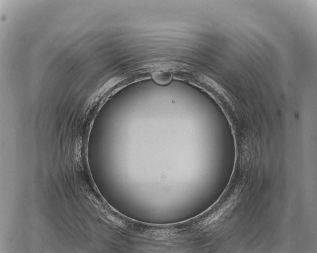 X0000064770778200602171823