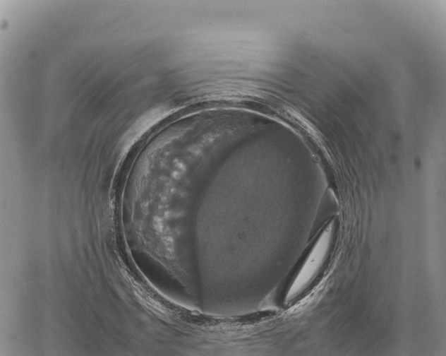 X0000064770779200602171823