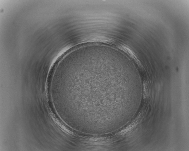 X0000064770780200602171823