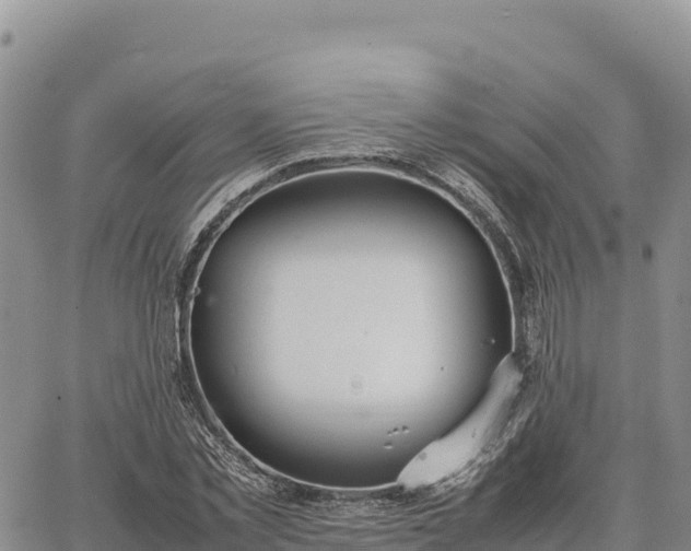 X0000064770781200602171823