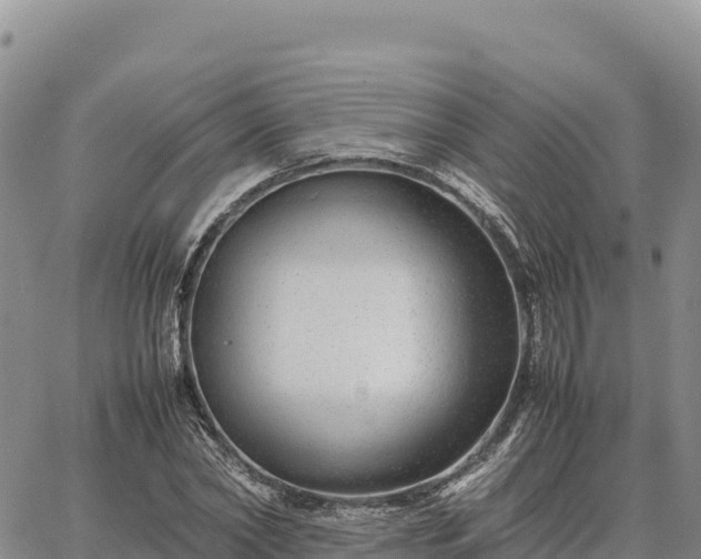 X0000064770782200602171823