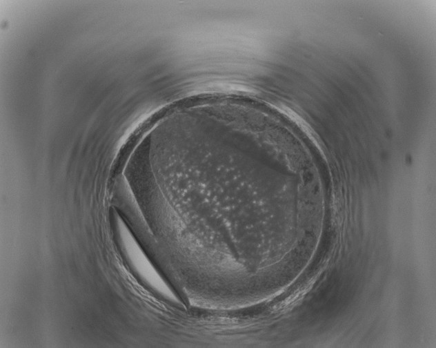 X0000064770783200602171823