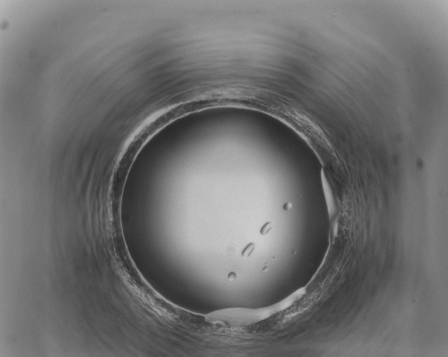 X0000064770784200602171823