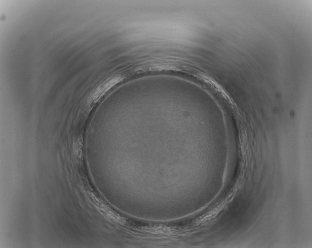 X0000064770785200602171823