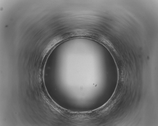 X0000064770786200602171823