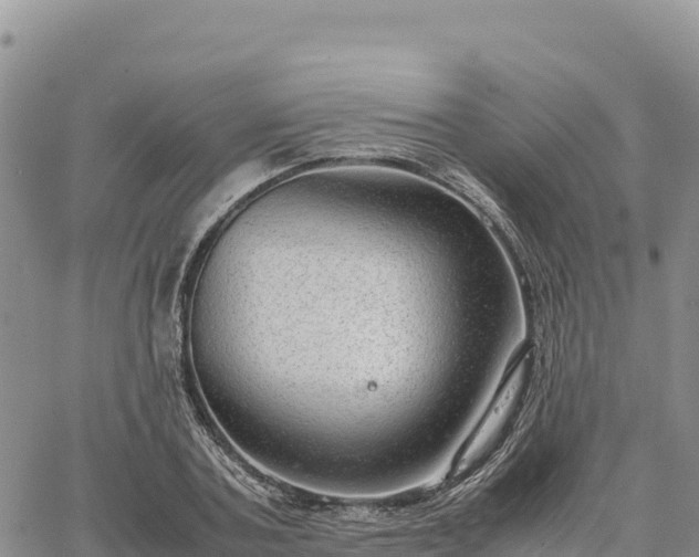 X0000064770787200602171823