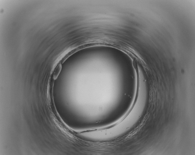 X0000064770788200602171823