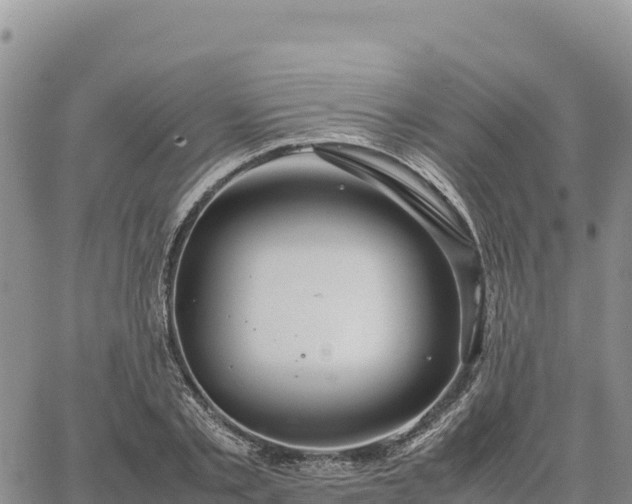 X0000064770789200602171823