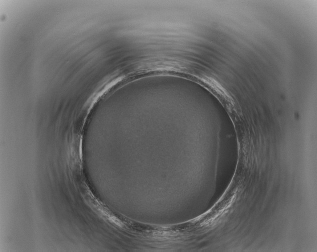 X0000064770790200602171823