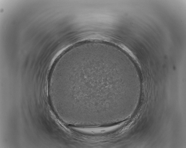 X0000064770791200602171823